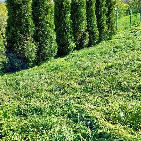 Sarajevo Flower Garden Дом отдыха