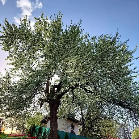 Casa vacanze Sarajevo Flower Garden Vogošća