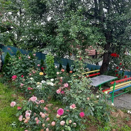 Sarajevo Flower Garden Дом отдыха *