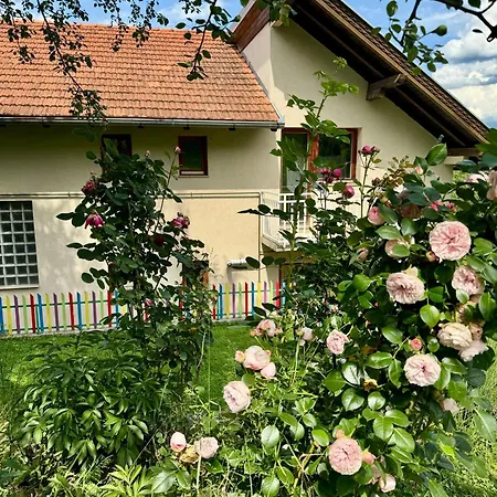 Дом отдыха Sarajevo Flower Garden *