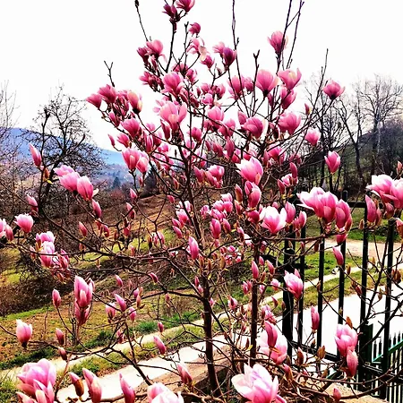Sarajevo Flower Garden Дом отдыха