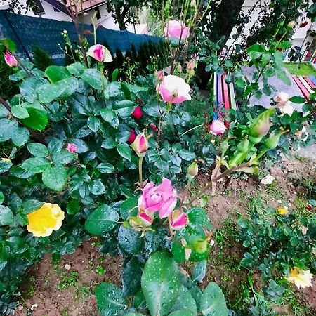 Sarajevo Flower Garden Дом отдыха