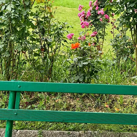 Sarajevo Flower Garden Vogosca